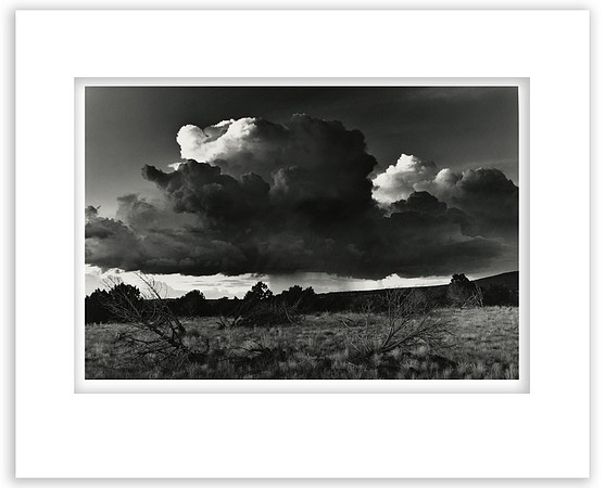 "Desert Rainstorm"