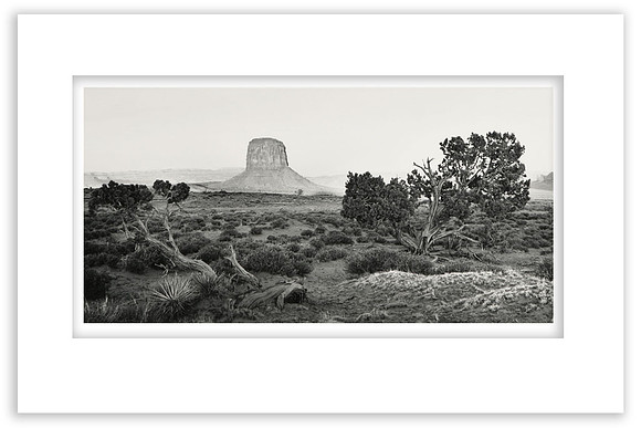 "Desert View"