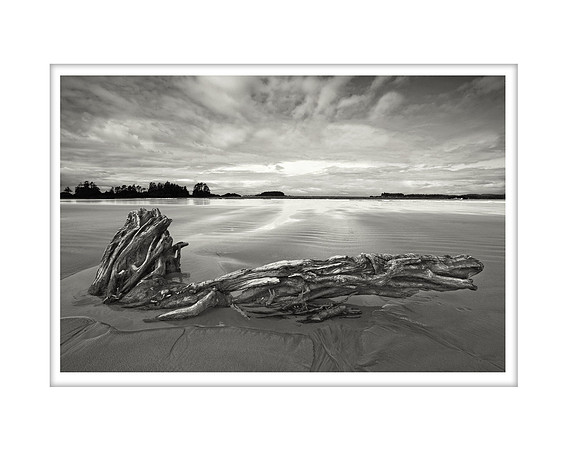 "Sea Shore Sculpture" Pacific Rim, British Vancouver Island