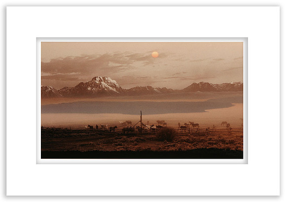 "Misty Morning Glow"