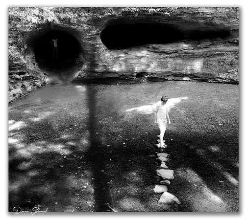Reflections