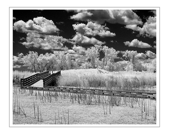 infrared at Metro