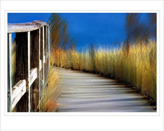 Port Cresent