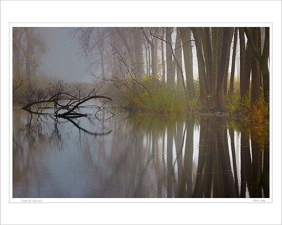 Misty walk